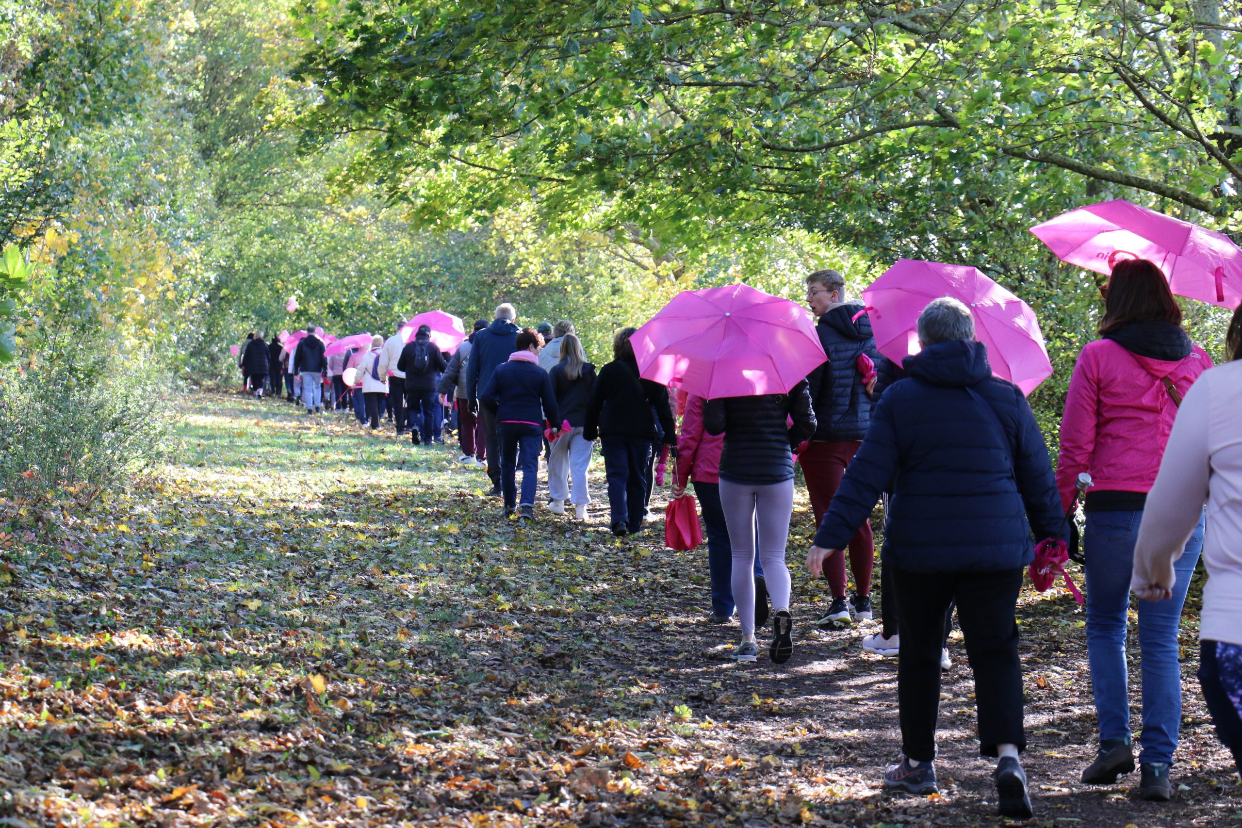 Marche des parapluies rose