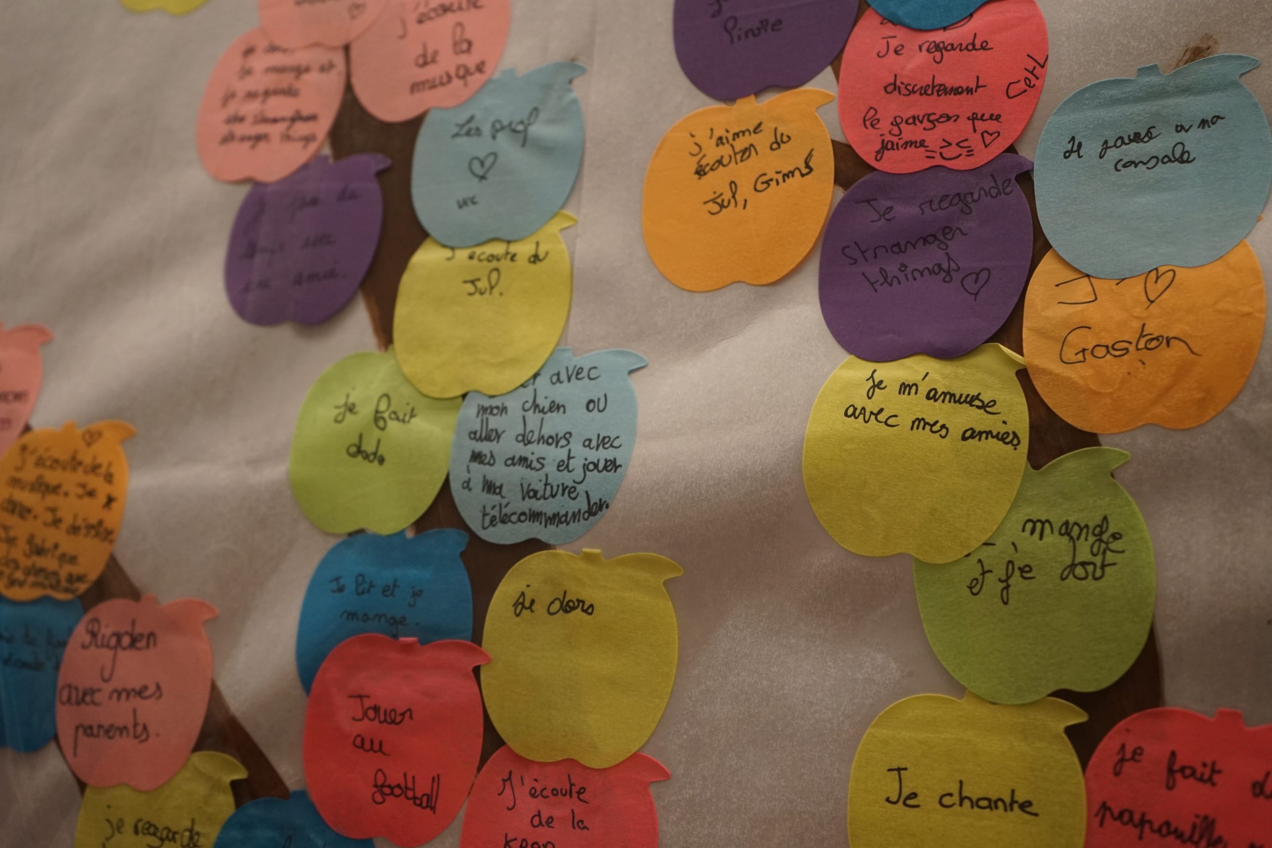 Collège – Les étoiles de Douvrin