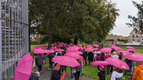 PXL 20241020 081052450