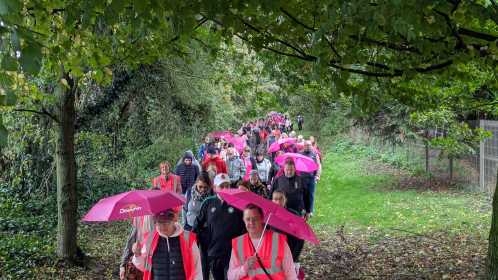 PXL 20241020 084109711.MP 