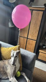 558315650_1223078439850574_4521074811781435733_n