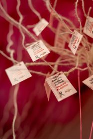 558591710_1223076209850797_4733406636507941551_n