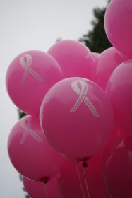 558900593_1223075066517578_8641861188576044577_n