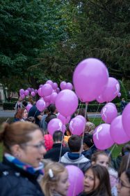 558917251_1223076089850809_7372015364456515545_n