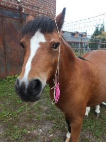 559127542_1223078436517241_2262867167702116182_n