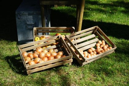 DSC00998