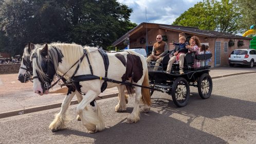 PXL_20250608_152123223