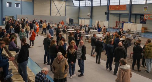 Elections municipales 2026